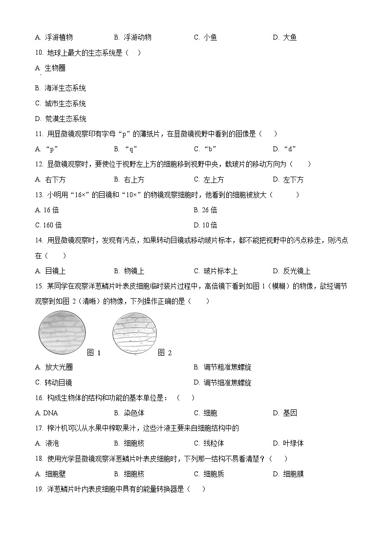 湖南省衡阳市衡南县三塘联合学校2023-2024学年七年级上学期期中生物试题（原卷版+解析版）02