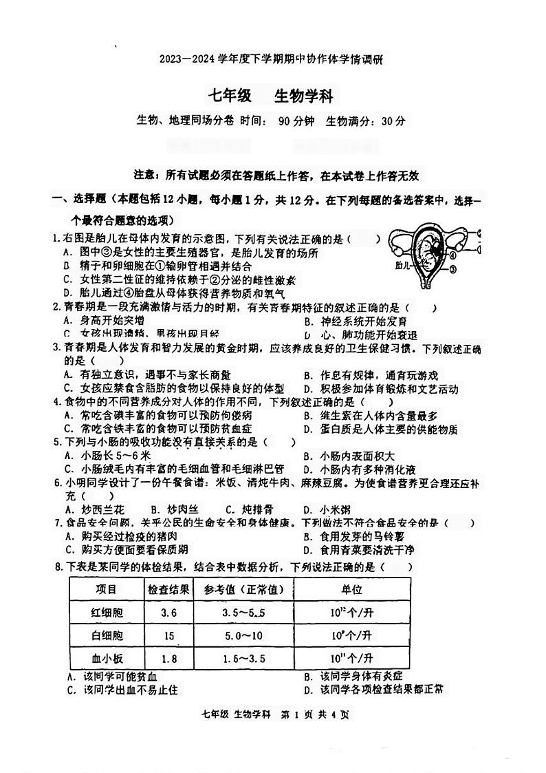 辽宁省沈阳市协作体(沈阳7中.锦州实验等)2023-2024学年七年级下学期期中考试生物试题01