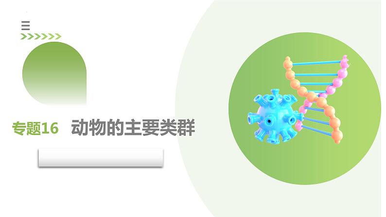 专题16 动物的主要类群（课件）-2024年中考生物一轮复习课件（全国通用）第3页