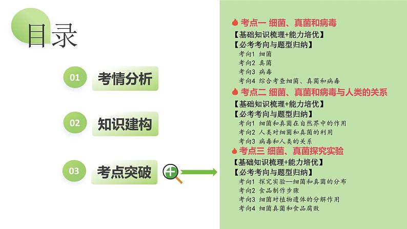 专题18 细菌、真菌和病毒（课件） -2024年中考生物一轮复习课件（全国通用）04