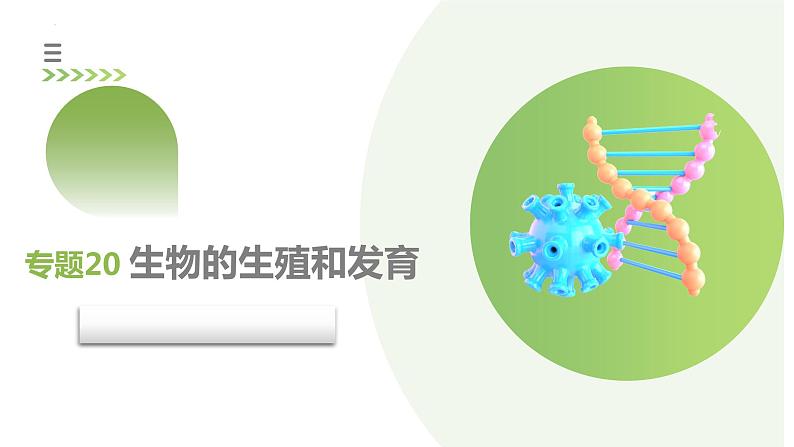 专题20 生物的生殖和发育（课件） -2024年中考生物一轮复习课件（全国通用）第3页