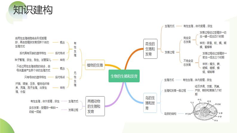 专题20 生物的生殖和发育（课件） -2024年中考生物一轮复习课件（全国通用）第8页