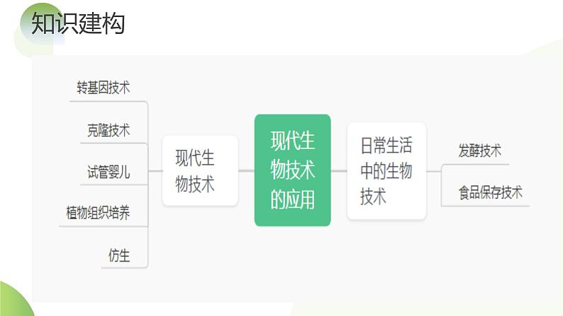 专题23 现代生物技术的应用（课件）  -2024年中考生物一轮复习课件（全国通用）08