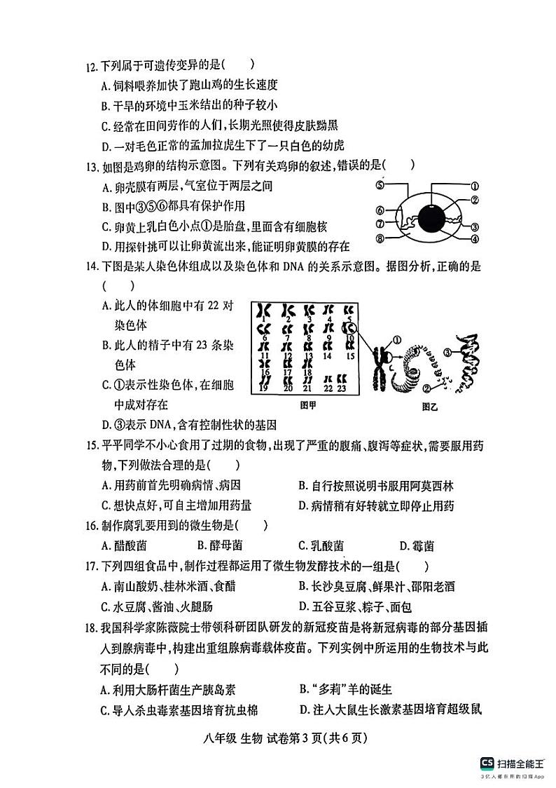 山东省德州市宁津县第四实验中学第五实验中学2023-2024学年八年级下学期5月期中生物试题第3页