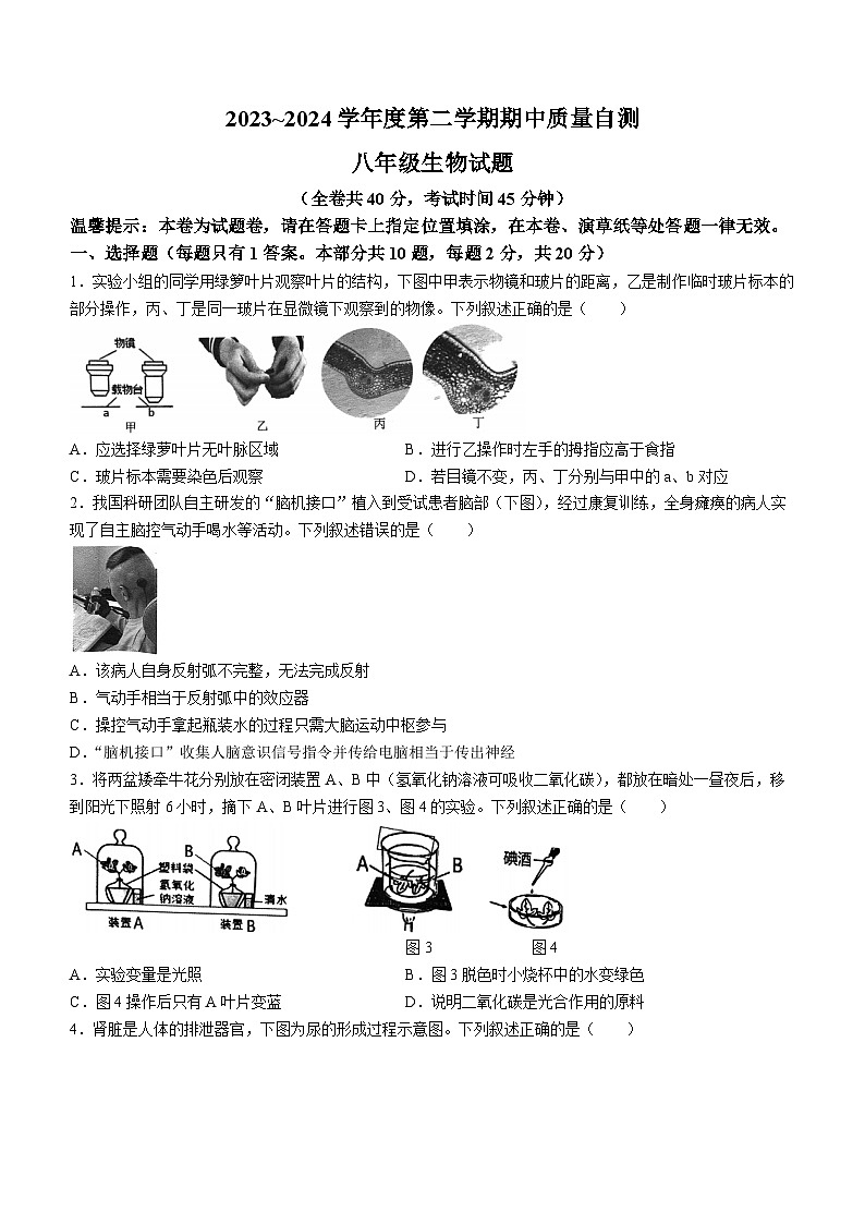 179，江苏省徐州市铜山区2023~2024学年八年级下学期期中质量自测生物试题(无答案)01