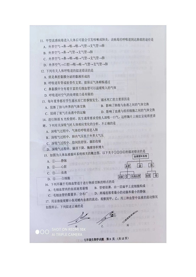 214，山东省青岛市胶州市2023-2024学年七年级下学期期中考试生物试题第3页
