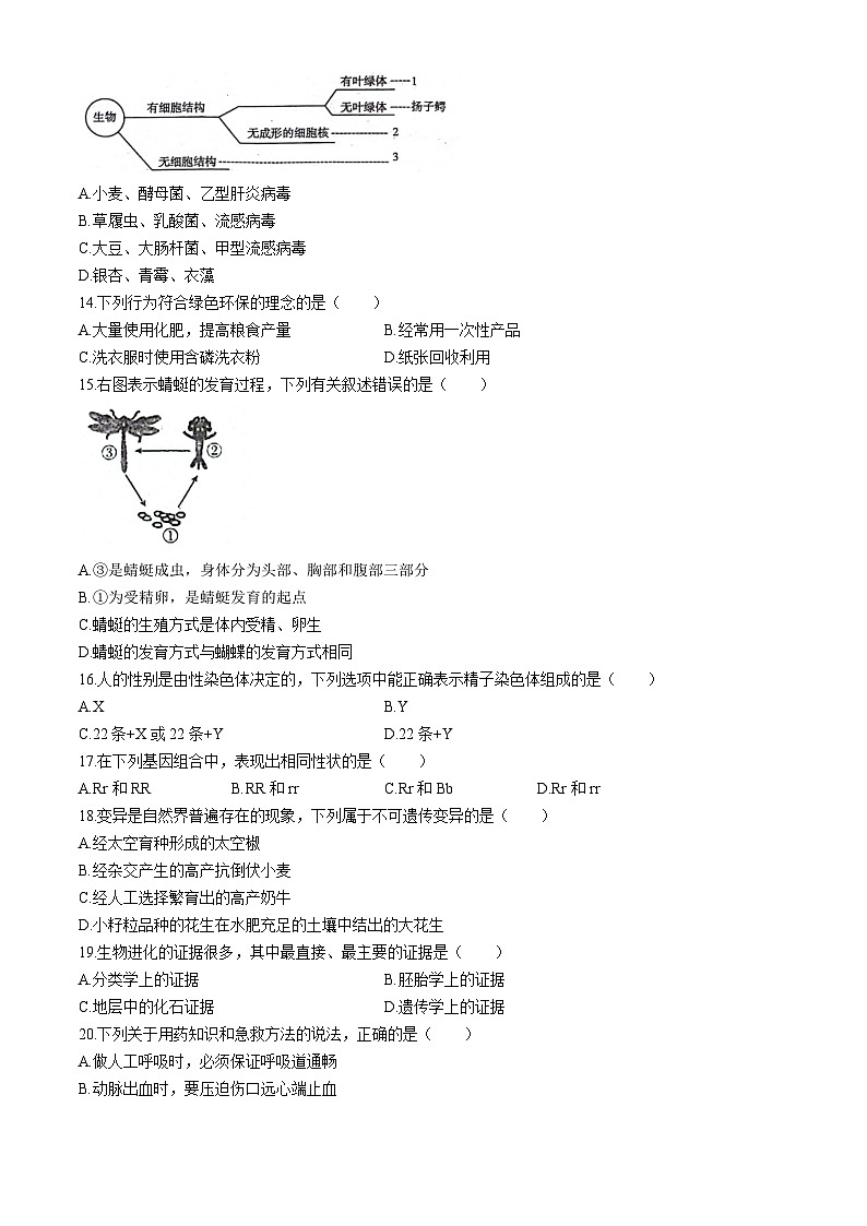222，河南省漯河市召陵区2023-2024学年八年级下学期4月期中生物试题03
