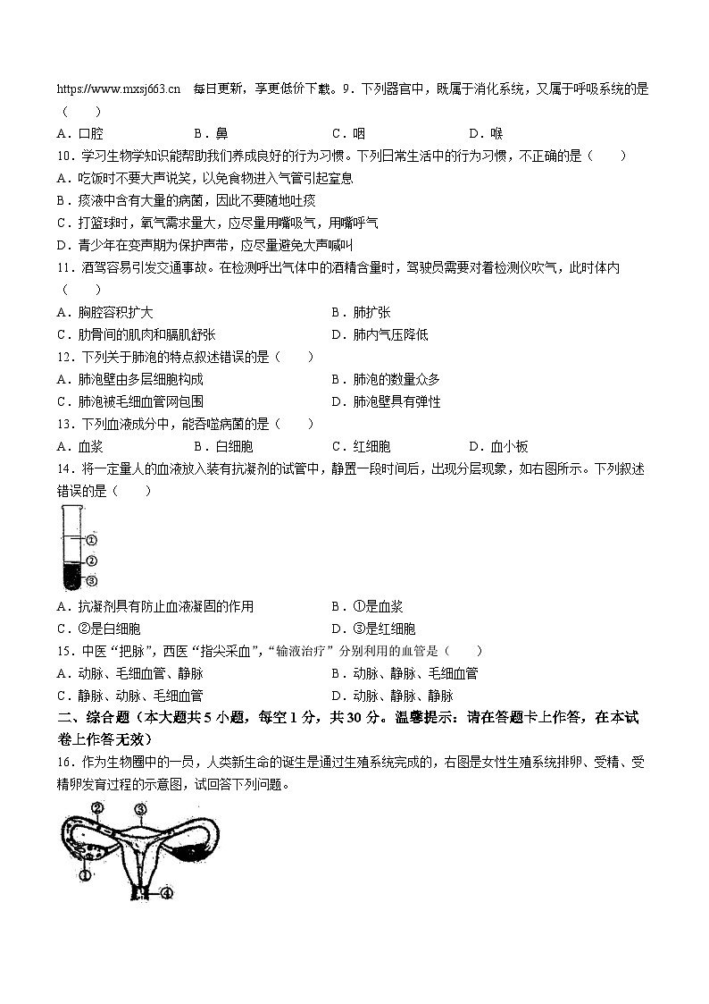 228，广西南宁市天桃实验学校2023-2024学年七年级下学期4月期中生物试题(无答案)02
