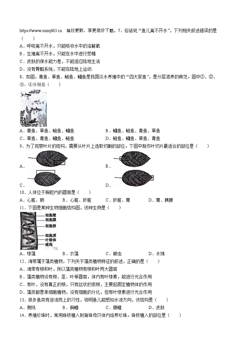 229，江苏省连云港市灌云县2023-2024学年七年级下学期4月期中生物试题(无答案)第2页