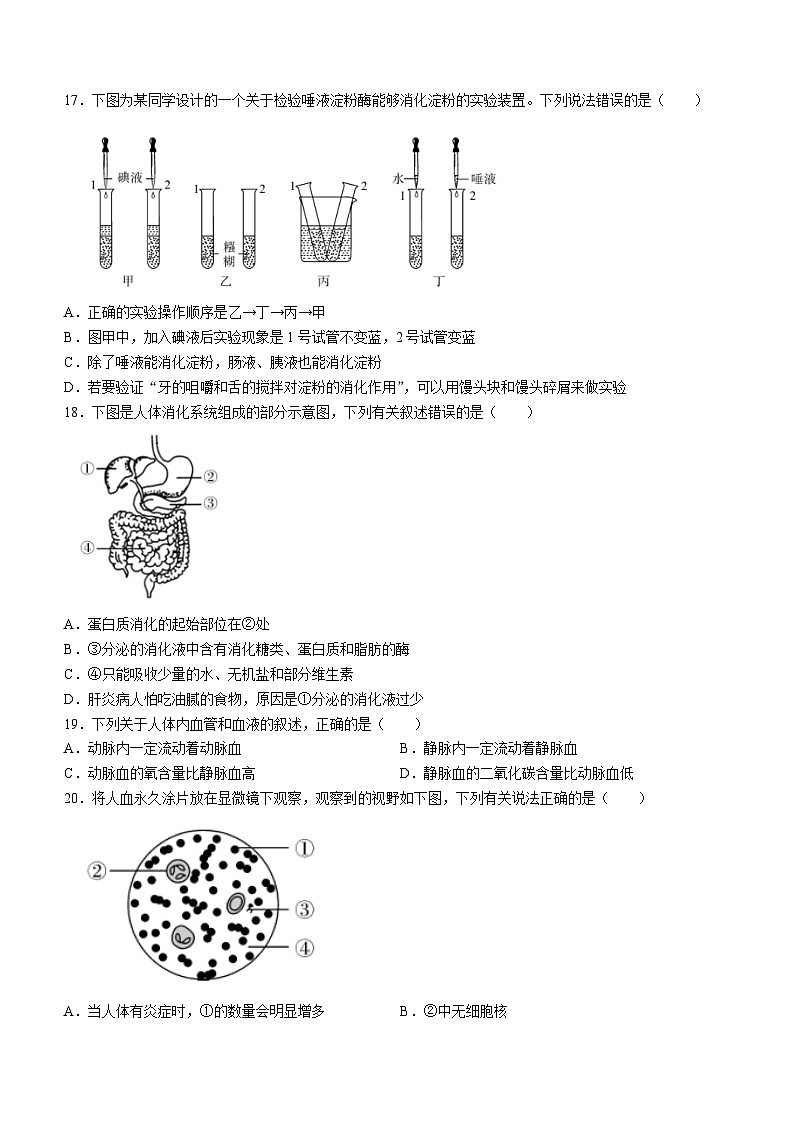 232，广东省阳江市2023-2024学年七年级下学期4月期中生物试题03