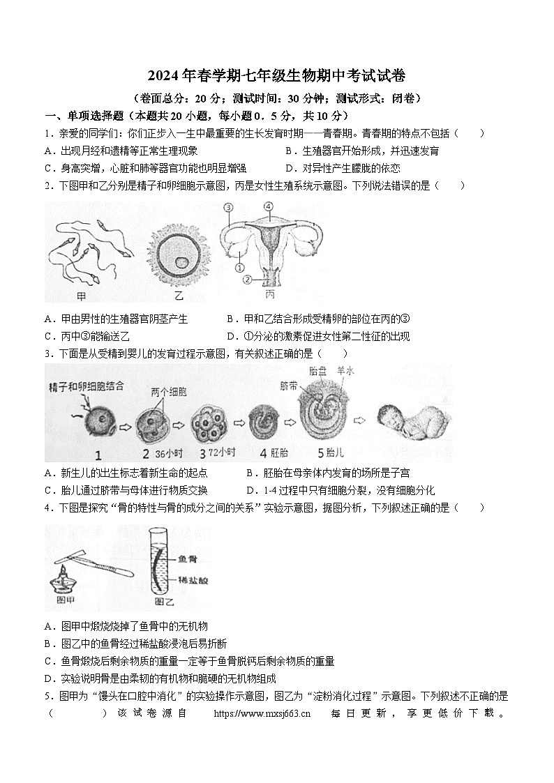 238，江苏省盐城市建湖县2023-2024学年七年级下学期期中生物试题01
