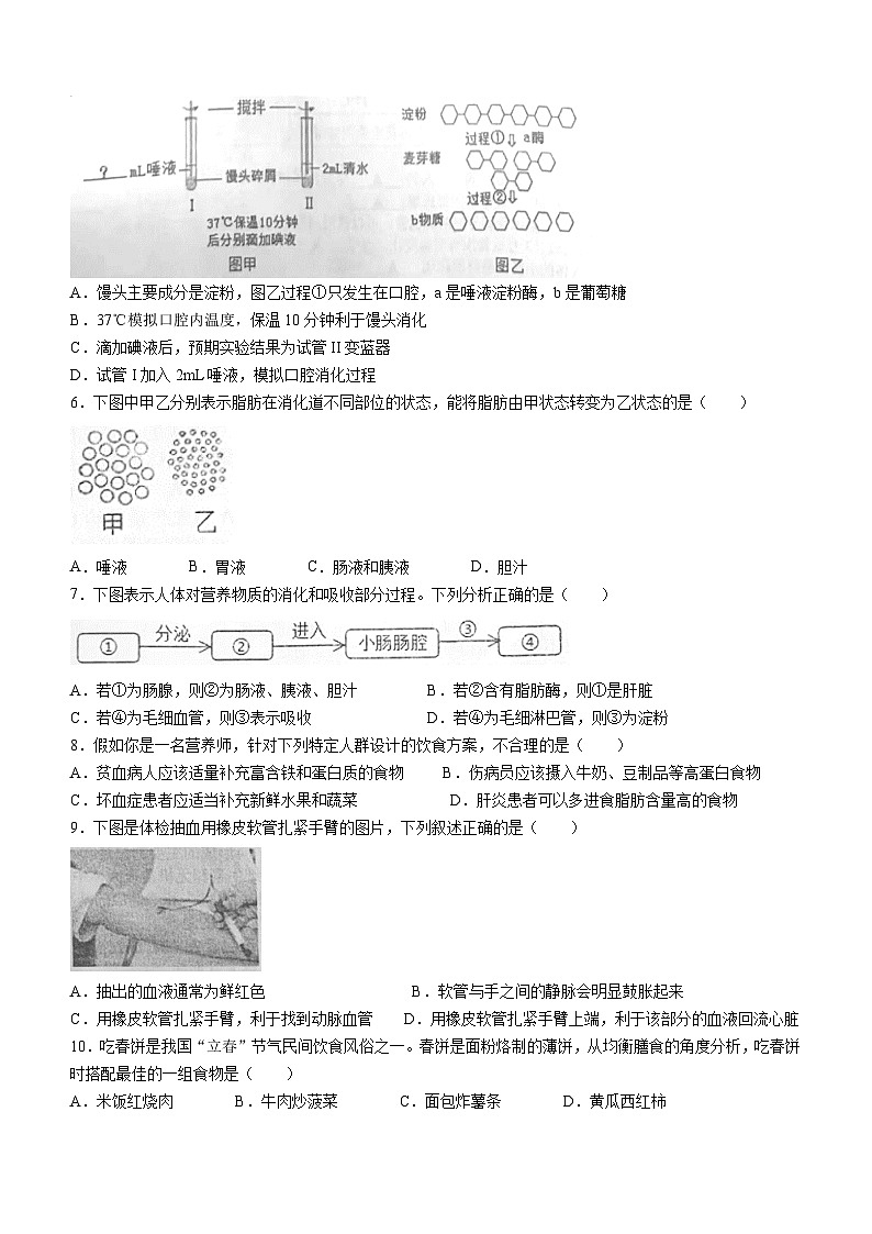 238，江苏省盐城市建湖县2023-2024学年七年级下学期期中生物试题02