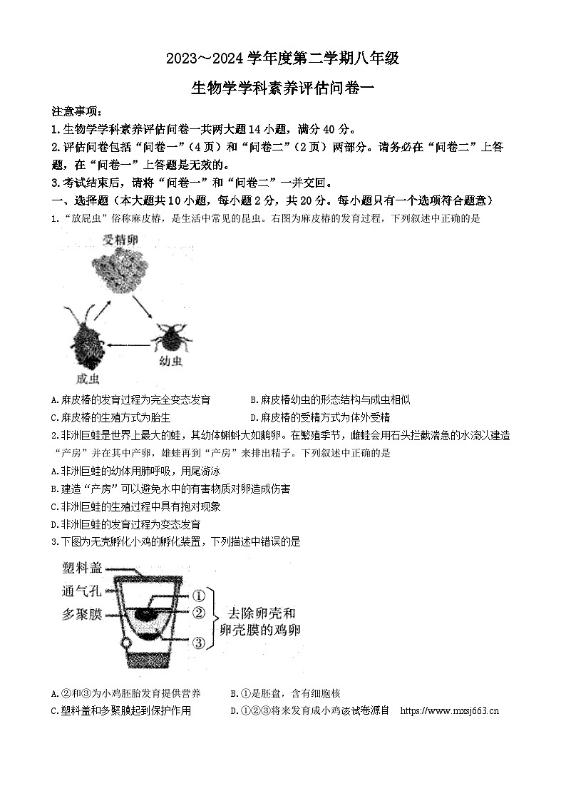 241，安徽省六安市霍邱县2023-2024学年八年级下学期4月期中生物试题01