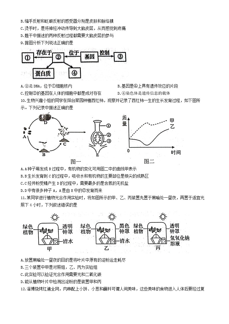 242，山东省青岛市胶州市2023-2024学年八年级下学期4月期中生物试题(无答案)第3页