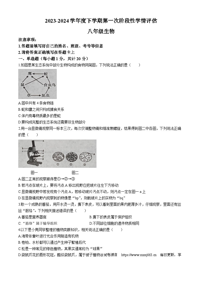 243，江西省九江市2023-2024学年八年级下学期4月期中生物试题(无答案)第1页