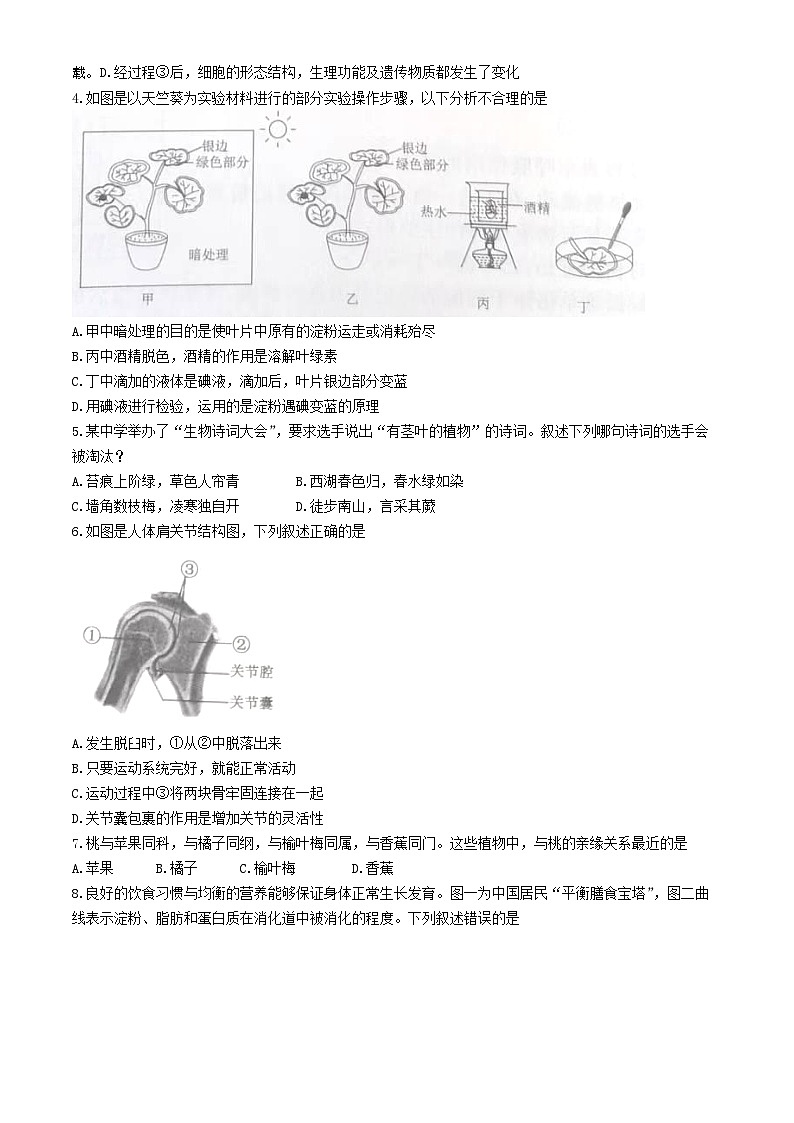 244，山东省济宁市曲阜市2023-2024学年八年级下学期期中生物试题(无答案)第2页