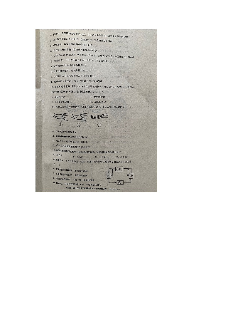 246，河南省周口市扶沟县2023-2024学年七年级下学期4月期中生物试题第3页