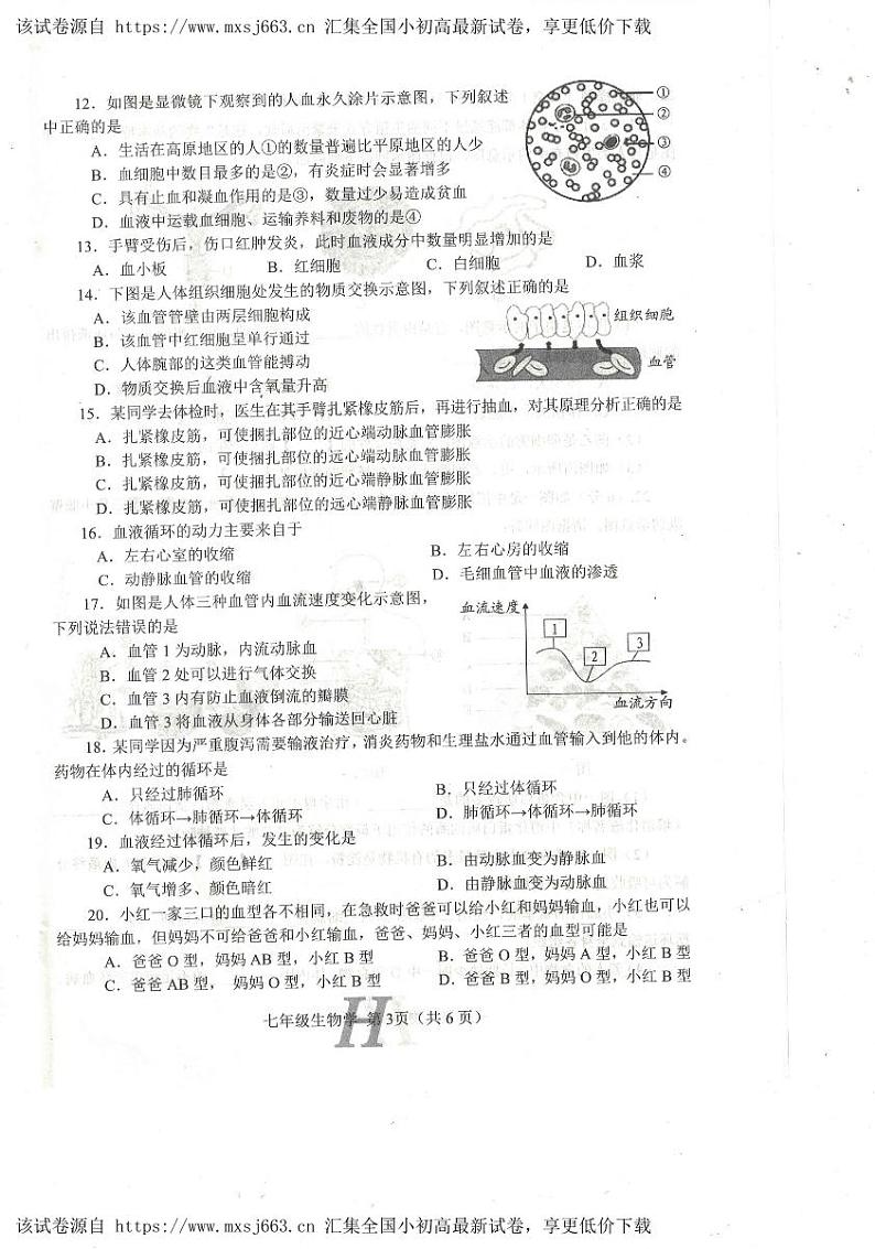 247，河南省南阳市唐河县2023-2024学年七年级下学期4月期中生物试题第3页