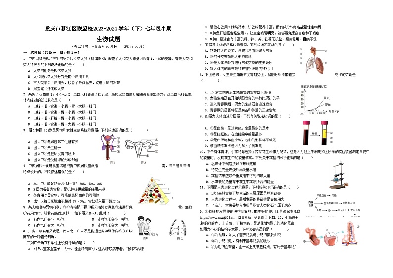 261，重庆市綦江区联盟校2023-2024学年七年级下学期期中生物试题第1页