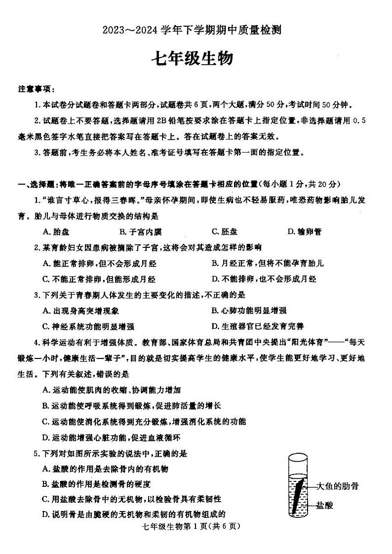 258，河南省平顶山市汝州市2023-2024学年七年级下学期4月期中生物试题01