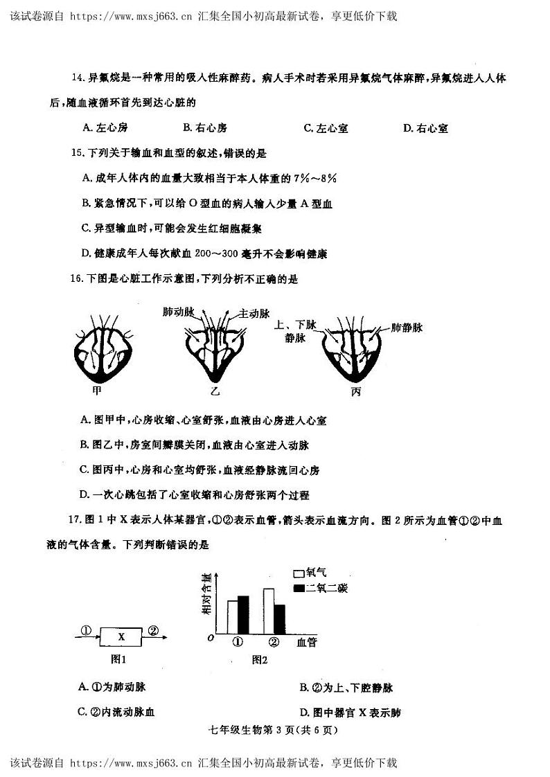 258，河南省平顶山市汝州市2023-2024学年七年级下学期4月期中生物试题03
