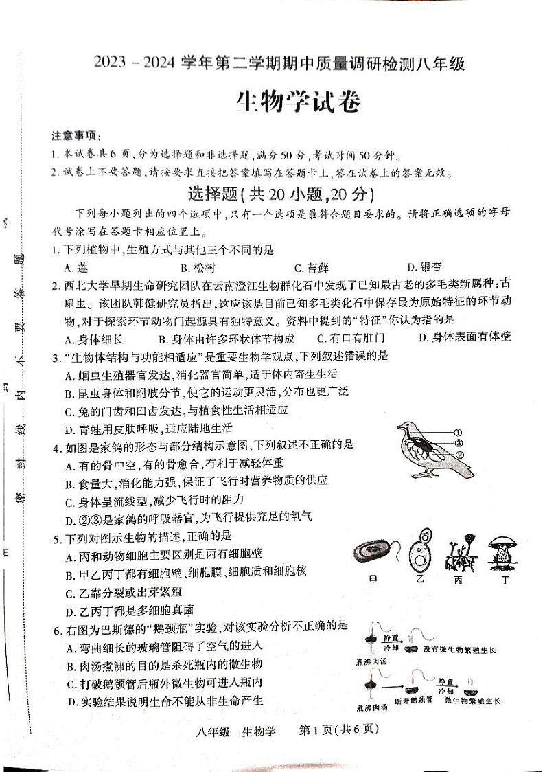 256，河南省洛阳市伊川县2023-2024学年八年级下学期4月期中生物试题01