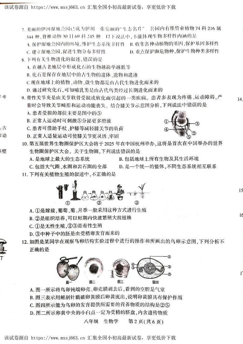 256，河南省洛阳市伊川县2023-2024学年八年级下学期4月期中生物试题02