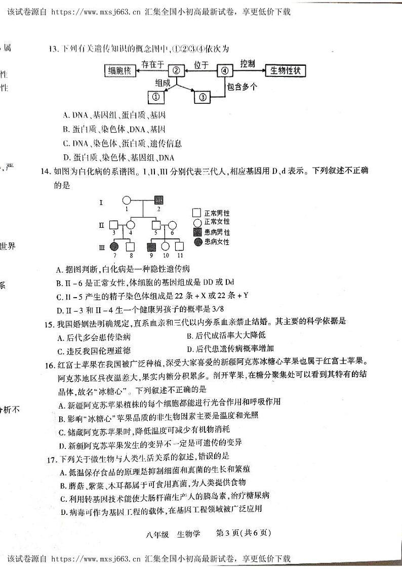 256，河南省洛阳市伊川县2023-2024学年八年级下学期4月期中生物试题03