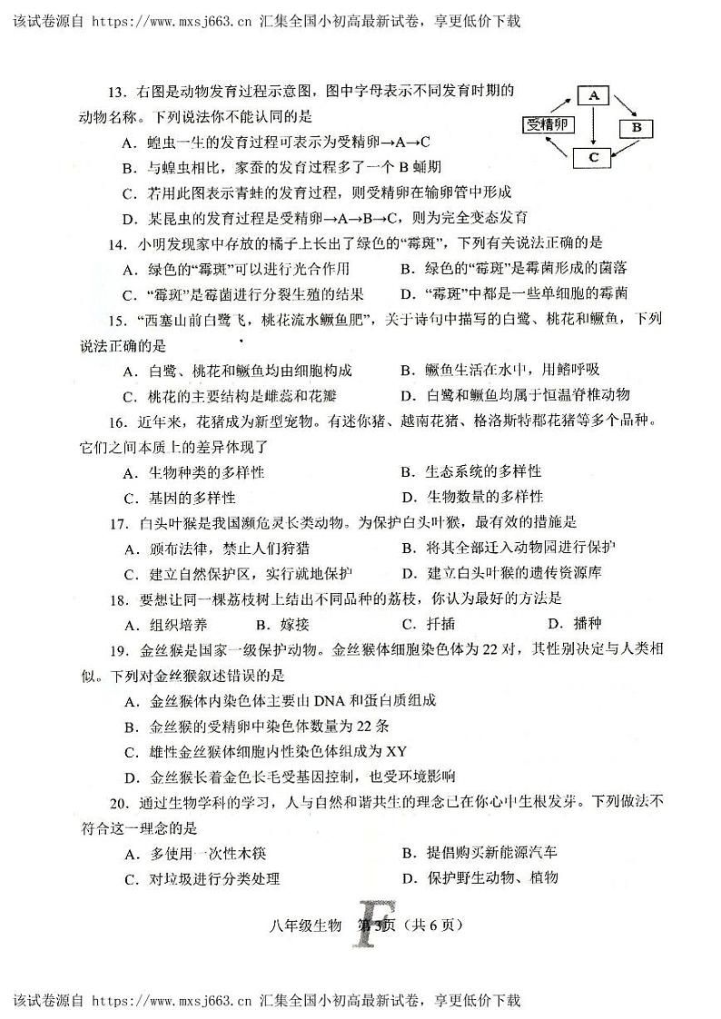 271，2024年河南省南阳市方城县八年级中考模拟考试生物试题第3页