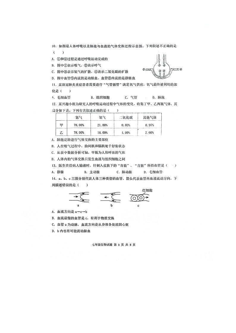 252，山东省菏泽市单县2023-2024学年七年级下学期4月期中生物试题03