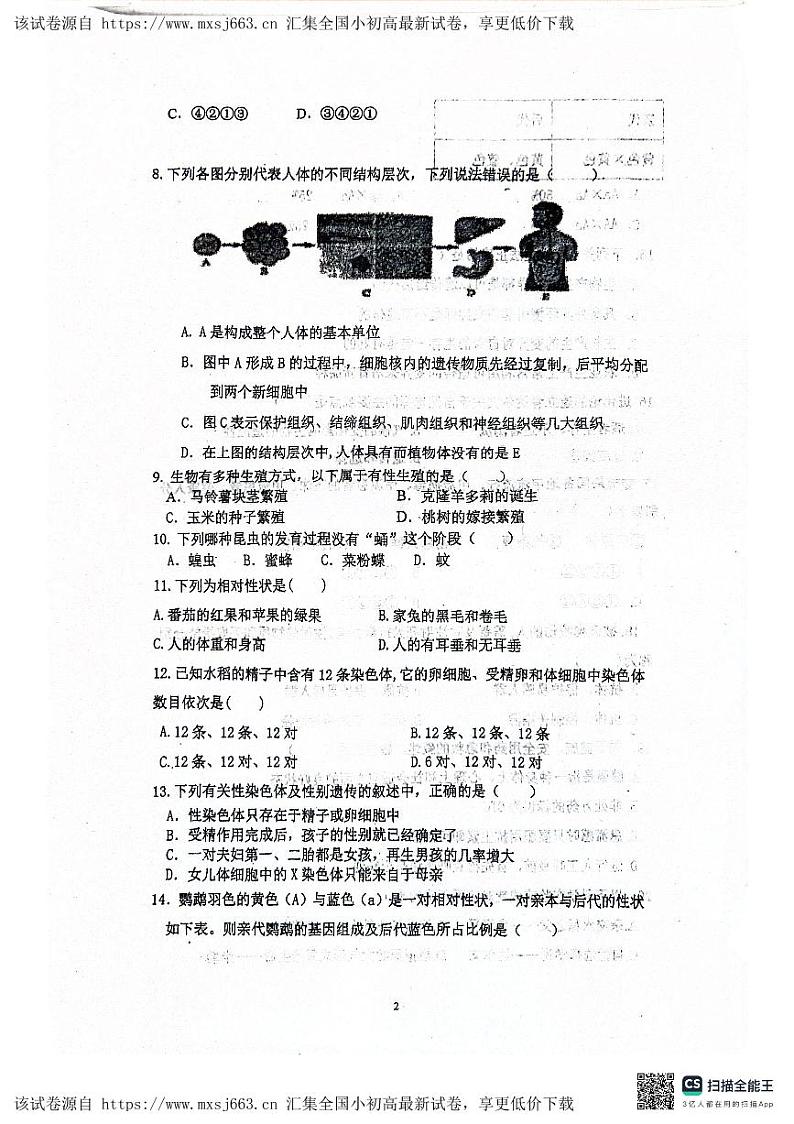 279，重庆市荣昌区宝城初级中学2023-2024学年八年级下学期期中考试生物试题02