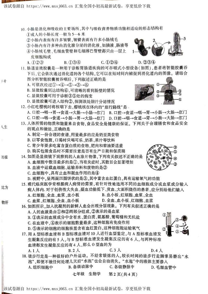 257，河南省洛阳市伊川县2023-2024学年七年级下学期4月期中生物试题第2页