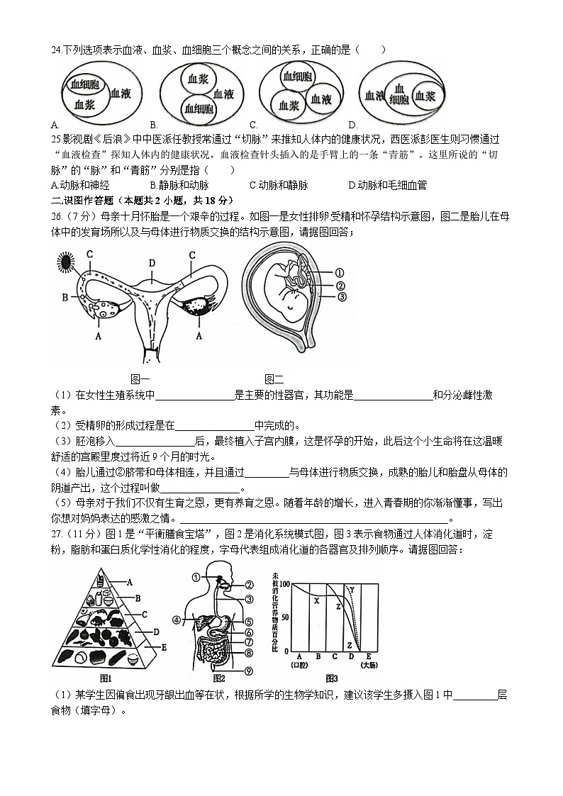 08，湖南省怀化市新晃侗族自治县2023-2024学年七年级下学期4月份期中考试生物试卷第3页