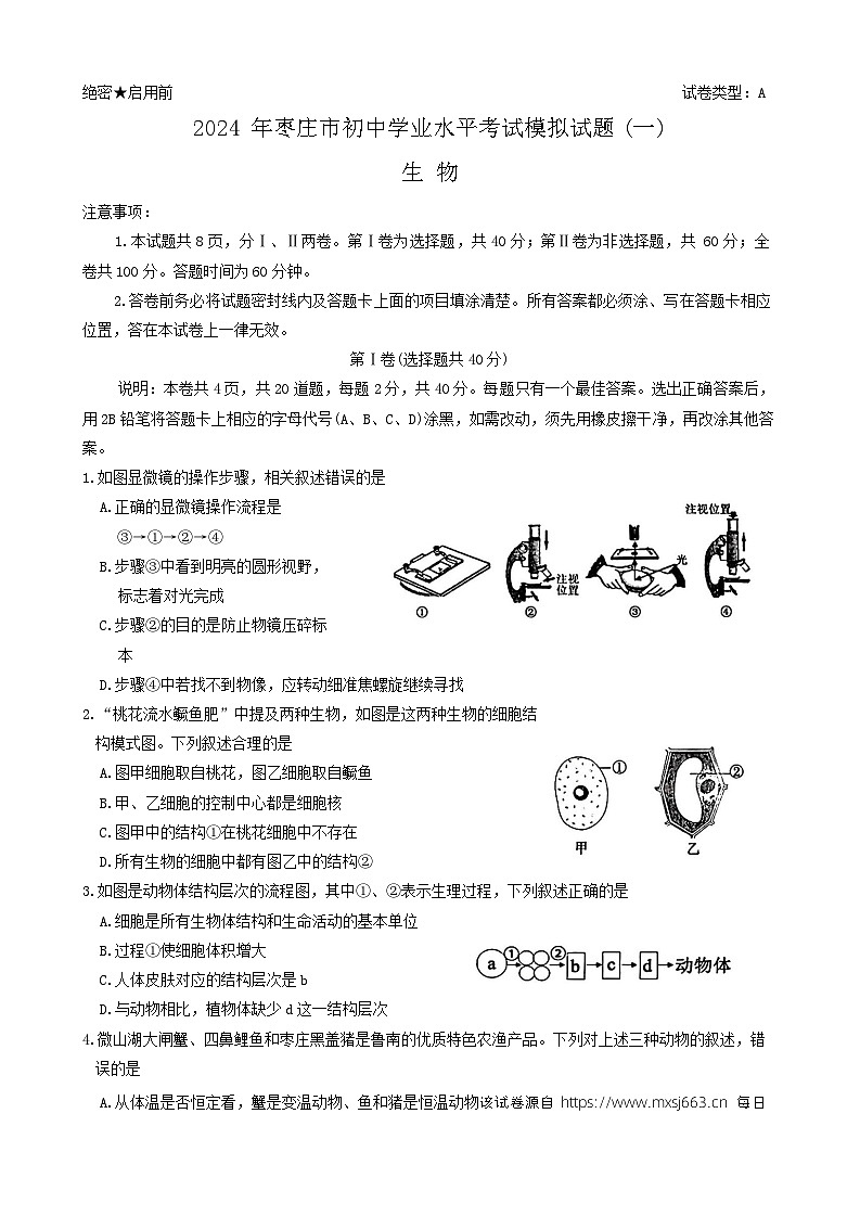 09，2024年山东省滕州市初中学业水平考试生物模拟试卷第1页