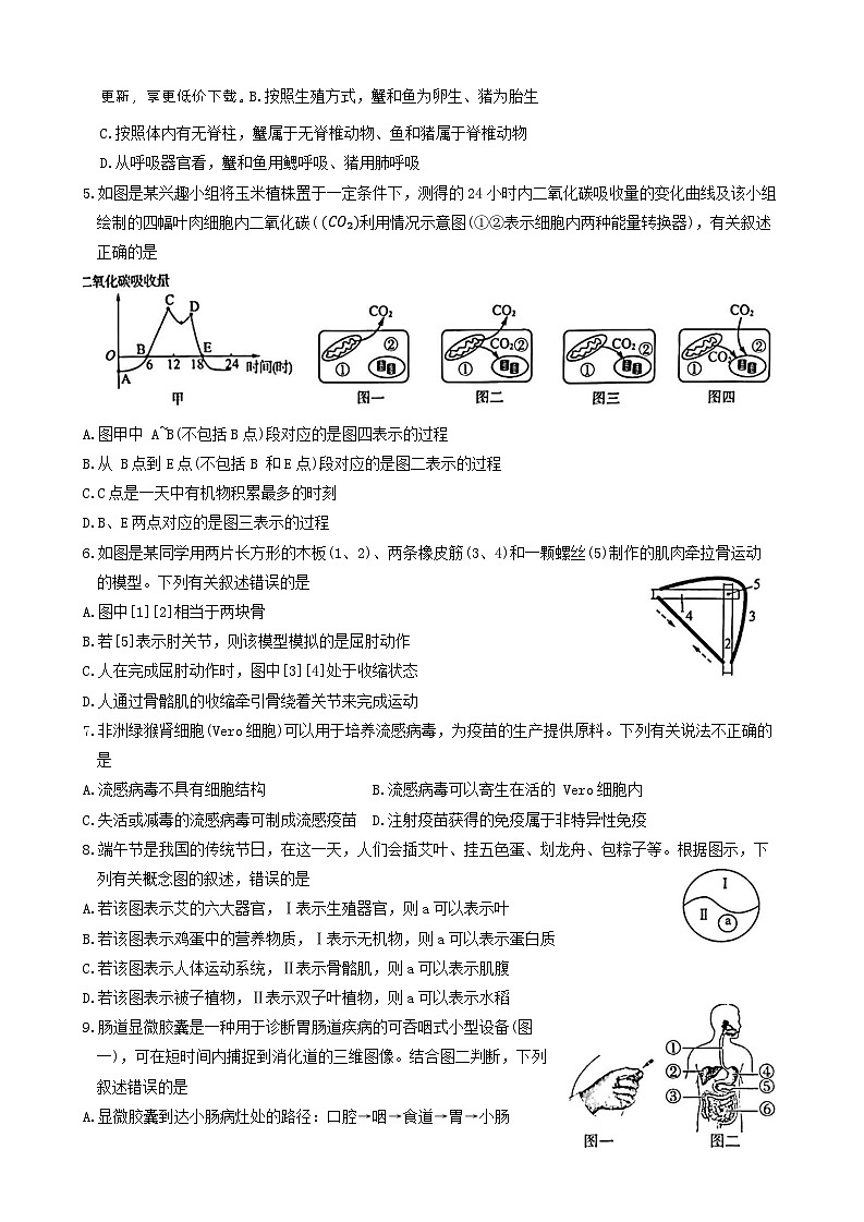 09，2024年山东省滕州市初中学业水平考试生物模拟试卷第2页
