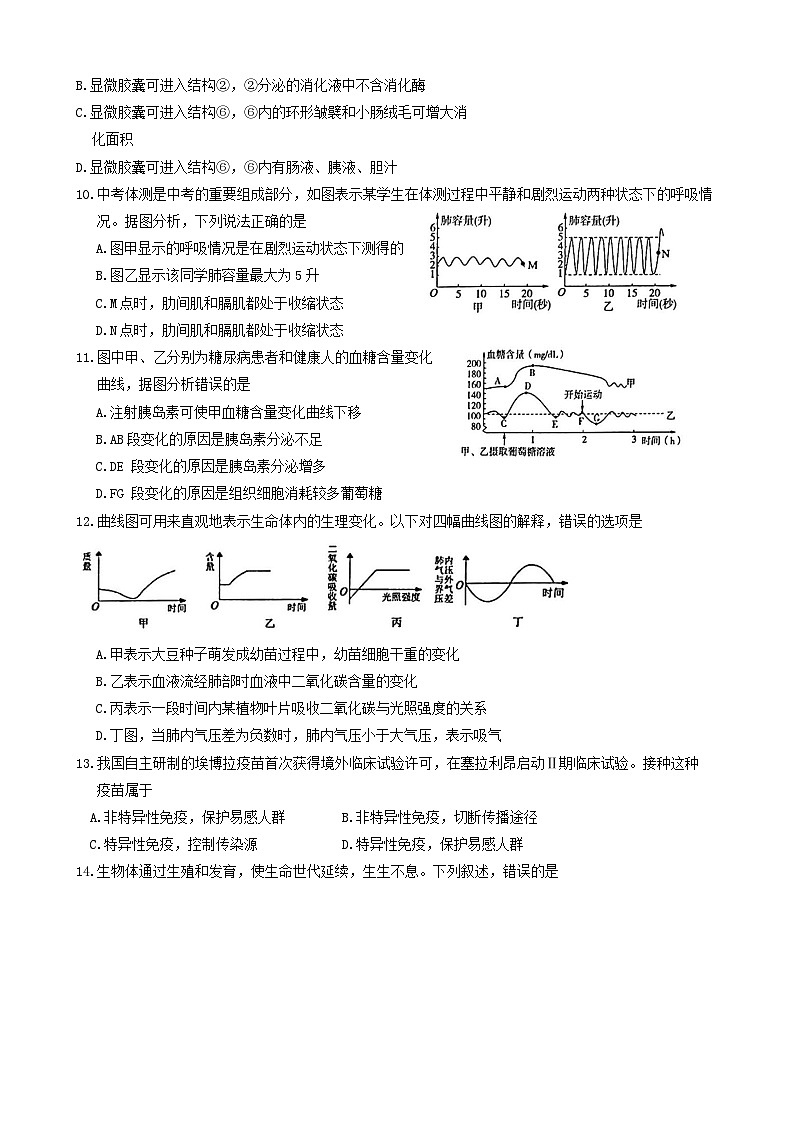 09，2024年山东省滕州市初中学业水平考试生物模拟试卷第3页