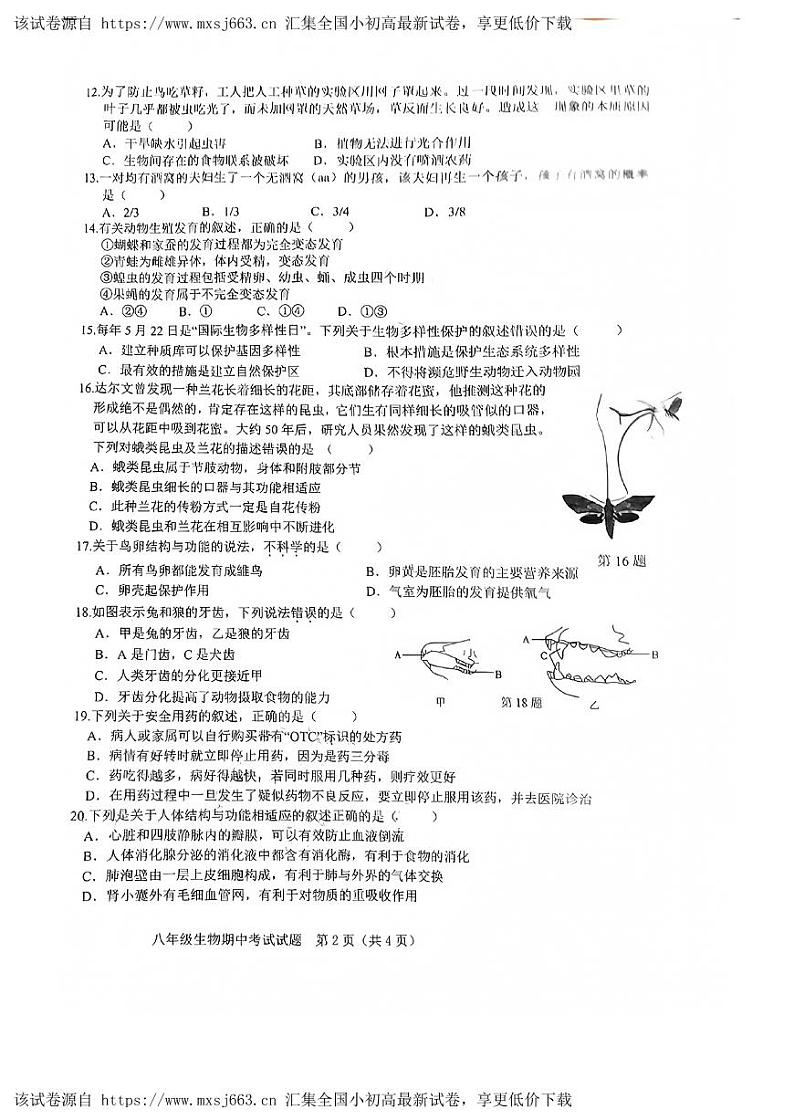 129，江西省赣州市经开区2023-2024学年八年级下学期4月期中生物试题第2页