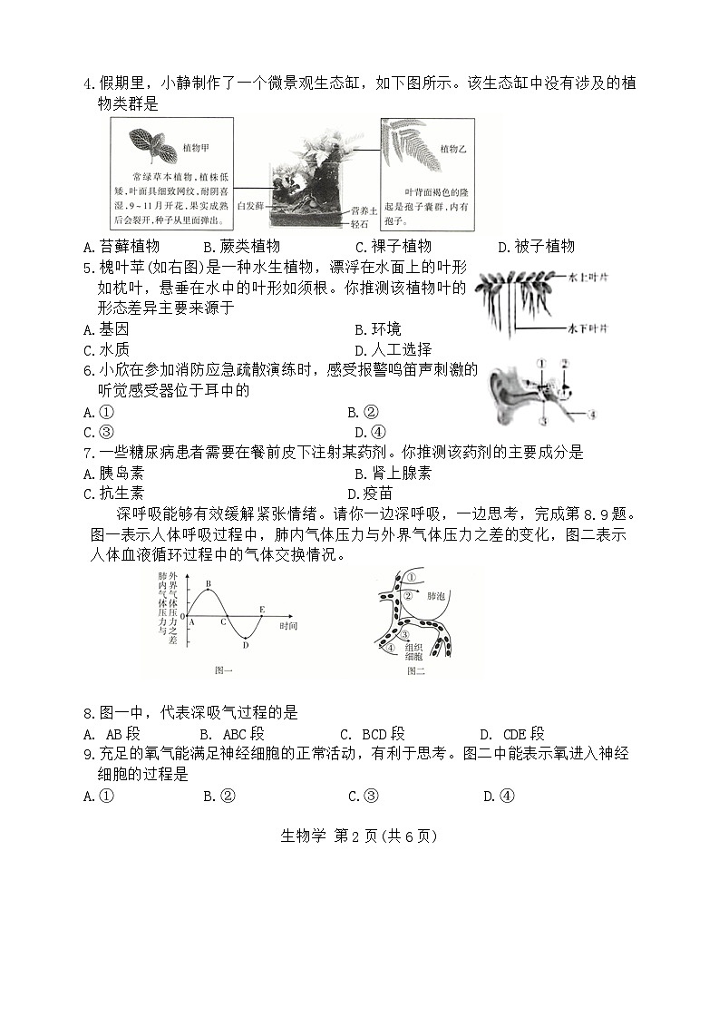 山西省2024年中考考前适应性训练生物试题第2页