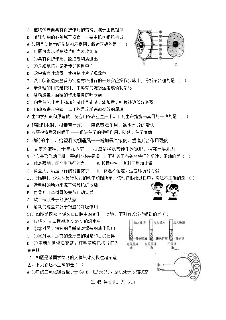 2024年四川省广安市华蓥市中考一模生物试题第2页