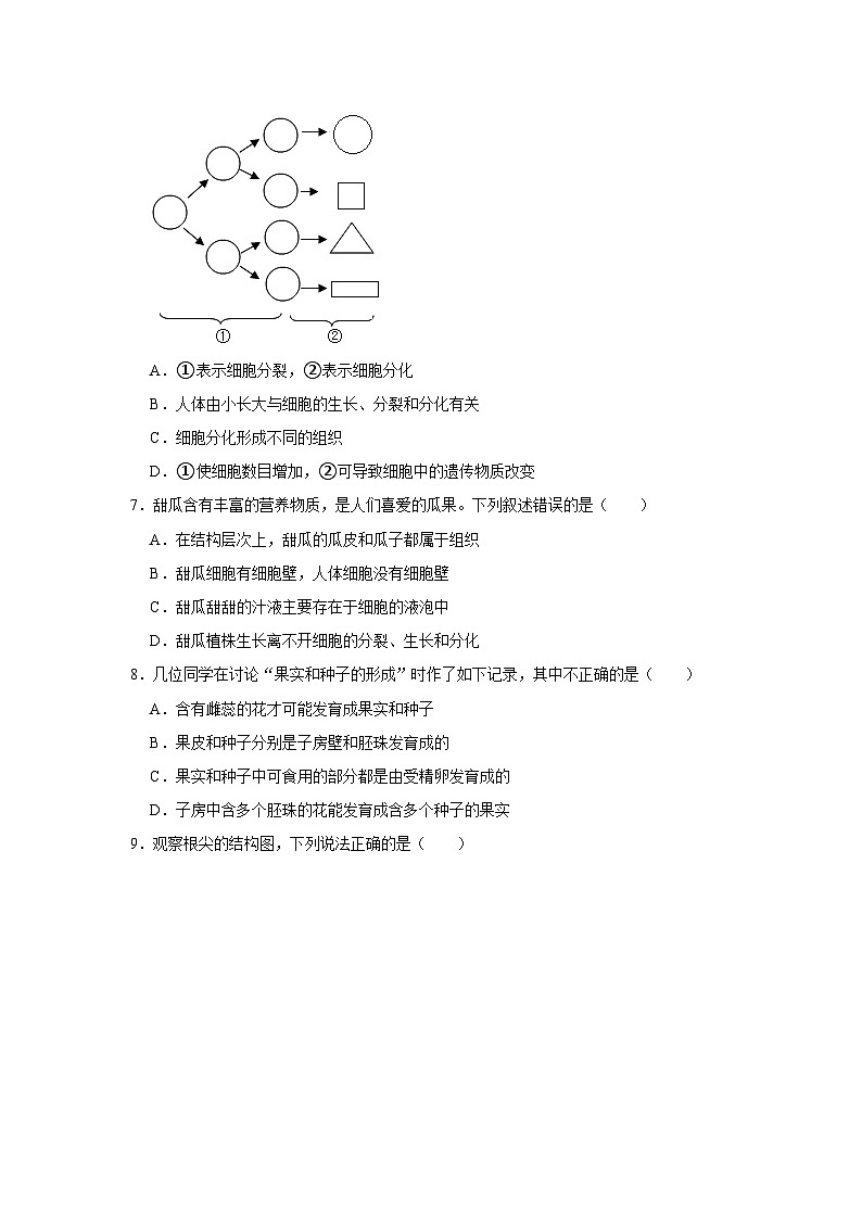 04，四川省眉山市仁寿县鳌峰中学2022-2023学年八年级下学期期中生物试卷第3页