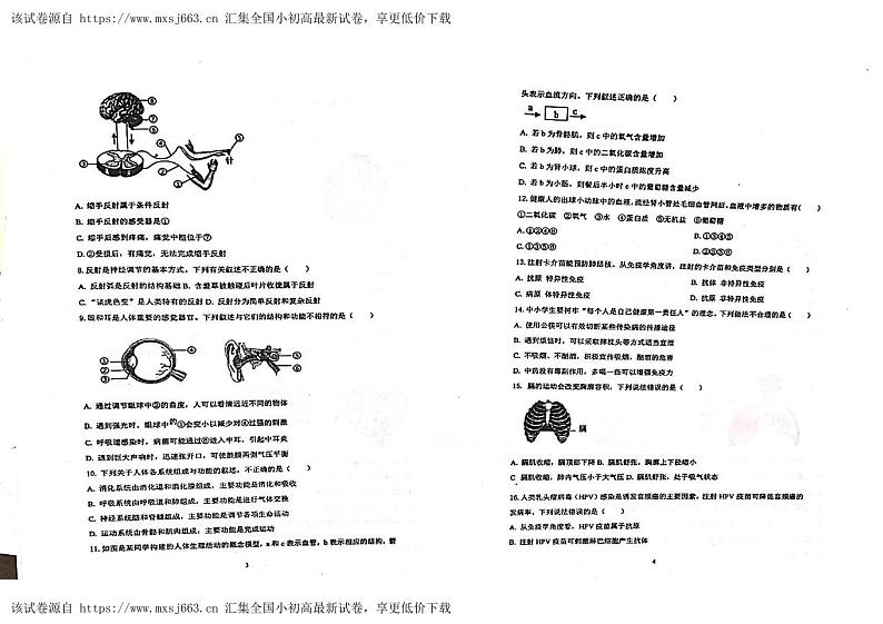 11，山东省滨州邹平市梁邹实验初级中学2023-2024学年八年级下学期第一次月考生物试题第2页