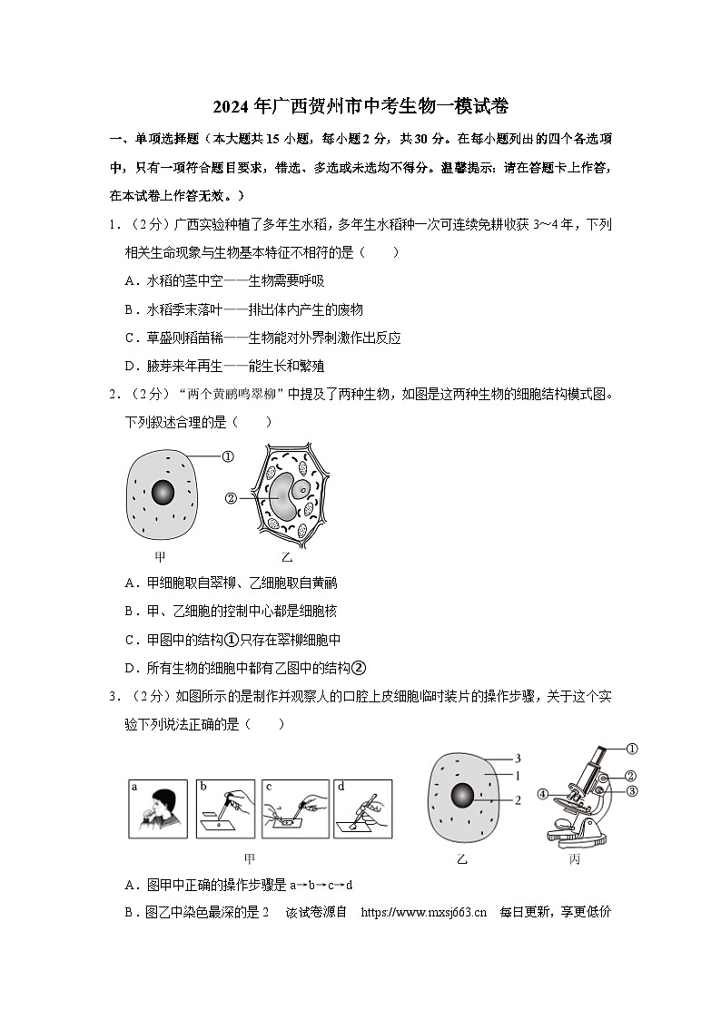 19，2024年广西贺州市中考生物一模试卷01