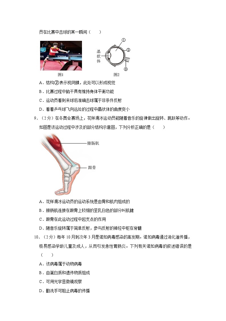 19，2024年广西贺州市中考生物一模试卷03