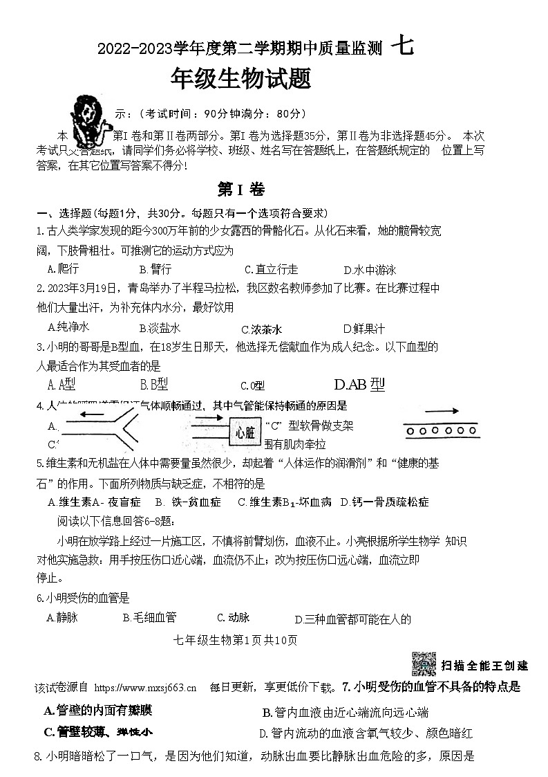 26，青岛市城阳区2022-2023学年七年级下学期期中生物检测试卷第1页