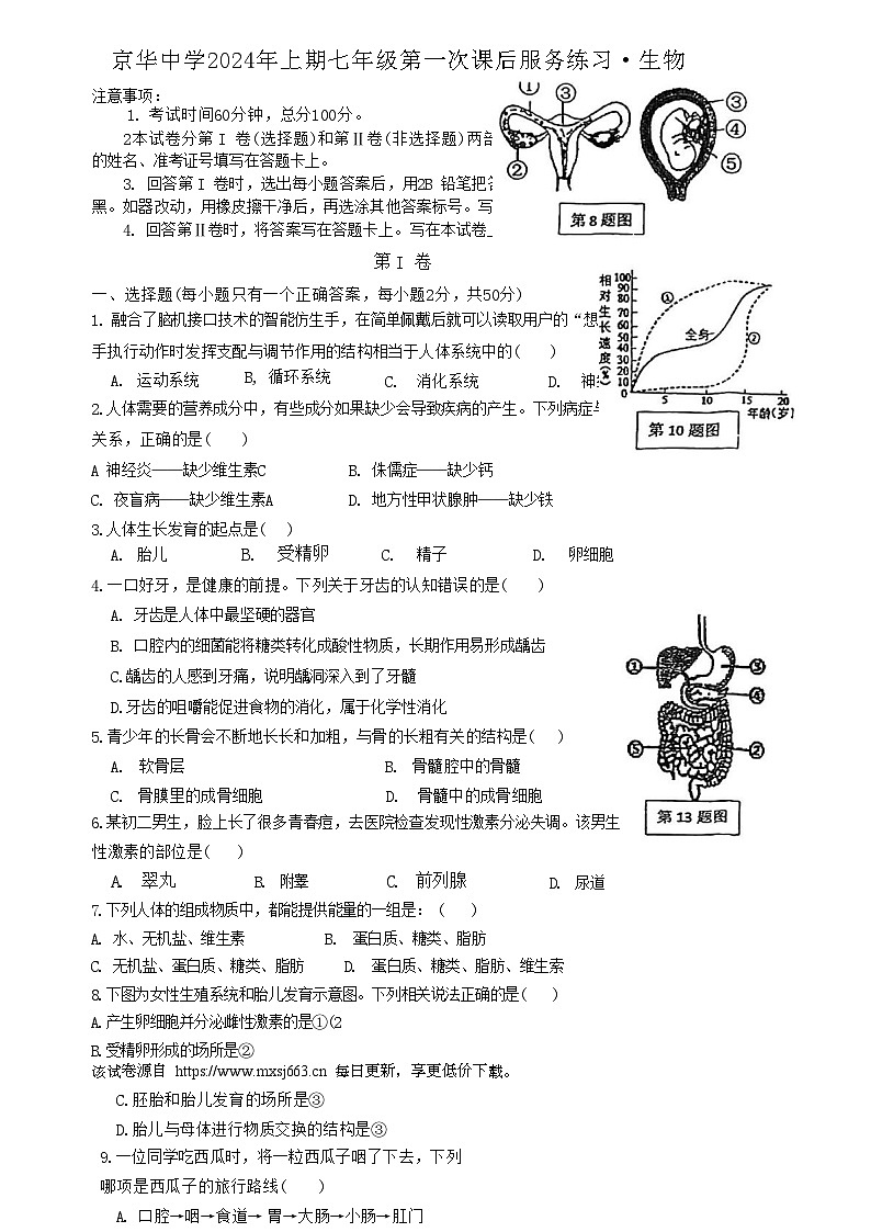 30，湖南省京华中学2023-2024学年七年级下学期第一次月考生物试题第1页