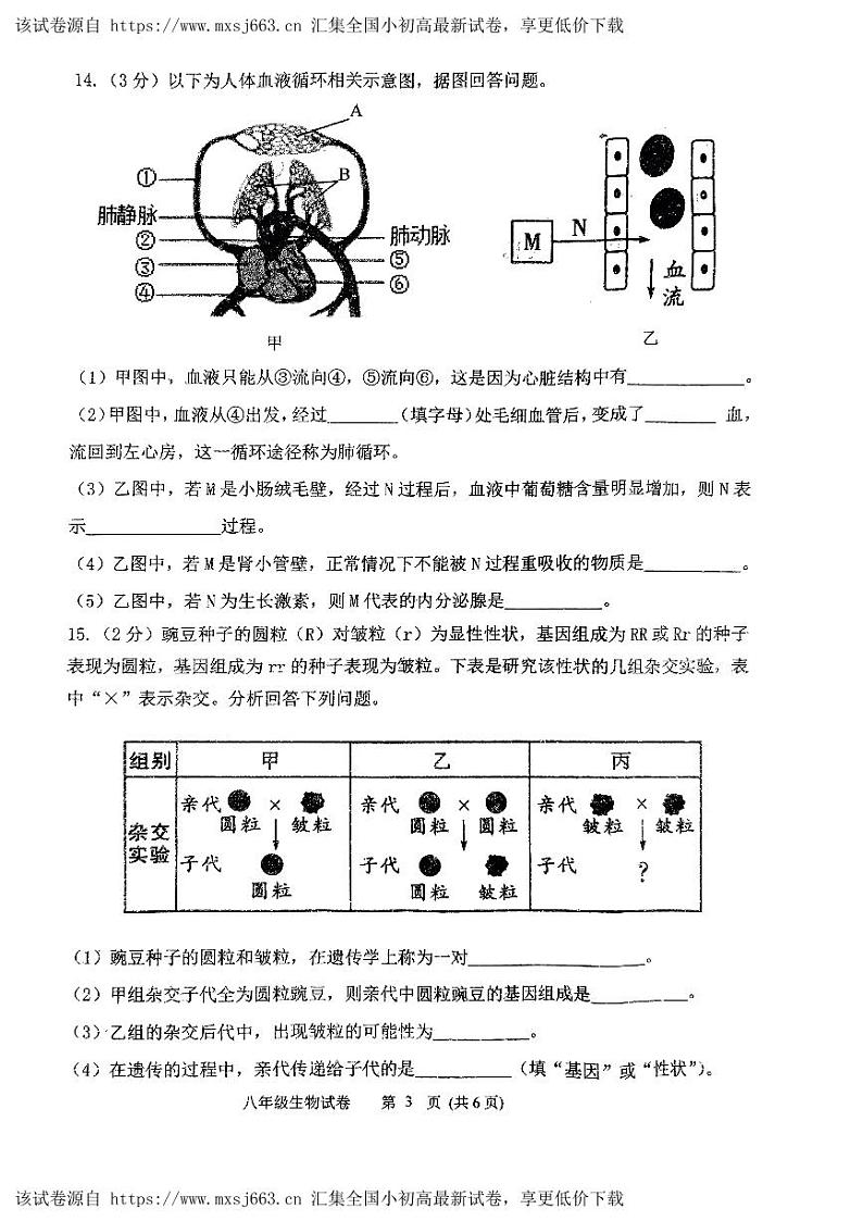 31，2024年辽宁省铁岭市铁岭县中考模拟一模生物试卷03