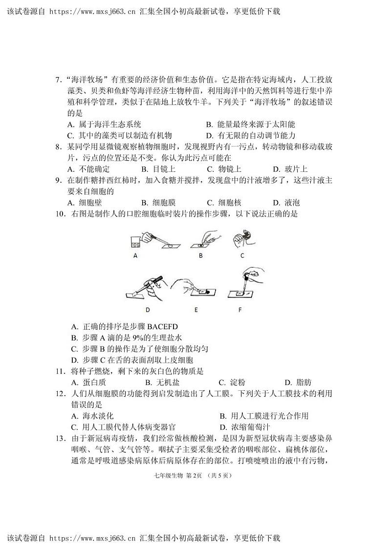 35，内蒙古呼和浩特市回民区2023-2024学年七年级上学期期中考试生物试题02