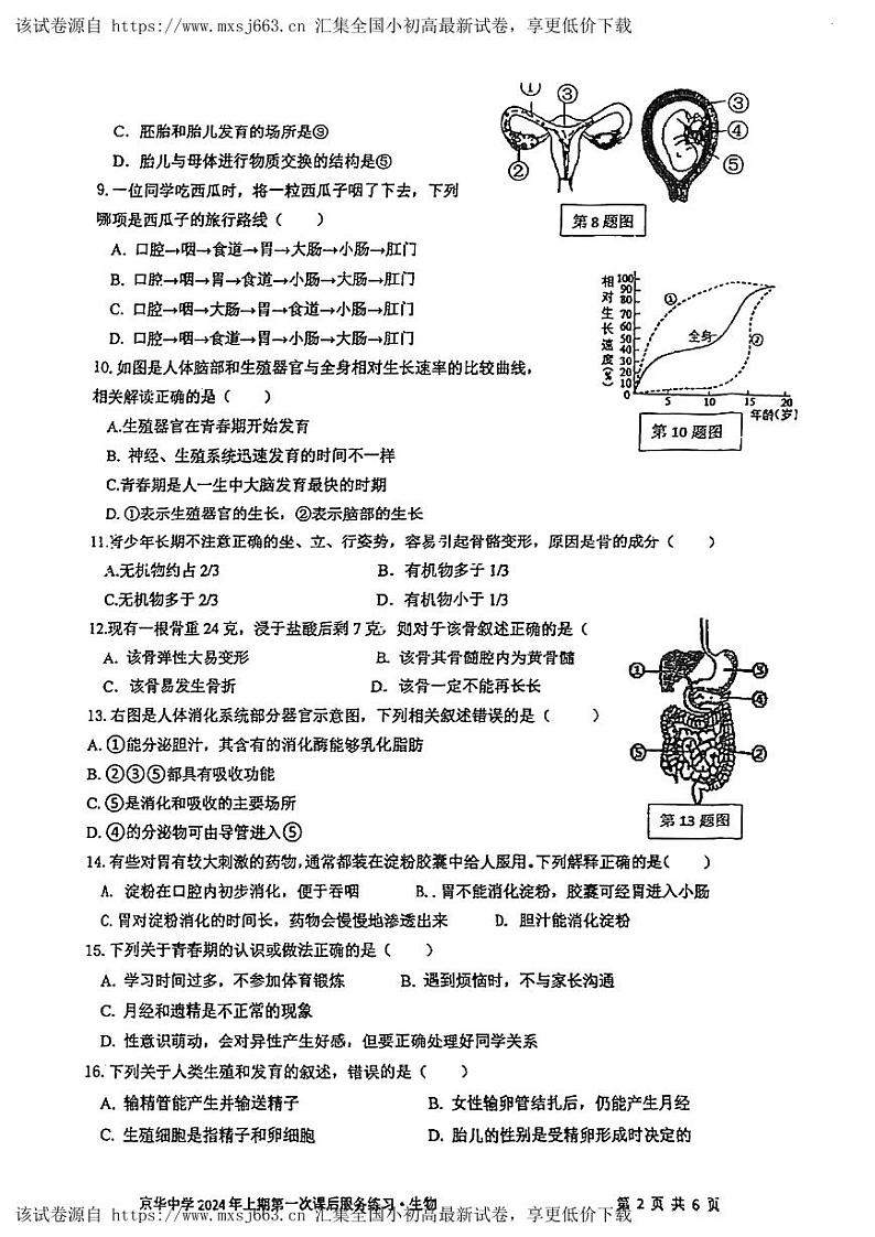 39，湖南省京华中学2023-2024学年七年级下学期第一次月考生物试题第2页