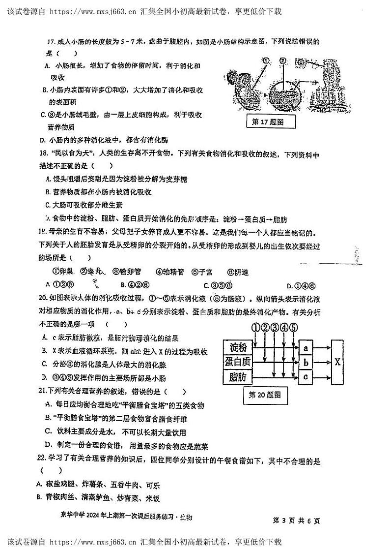 39，湖南省京华中学2023-2024学年七年级下学期第一次月考生物试题第3页