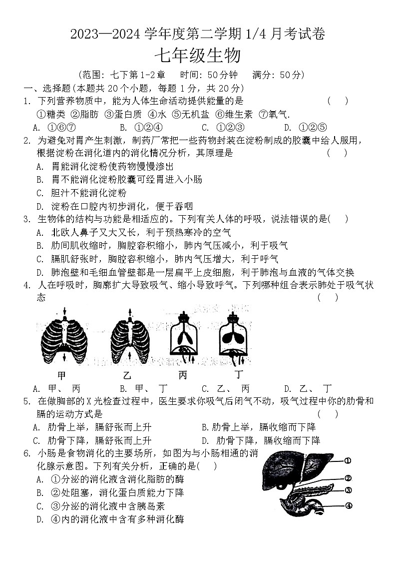 41，山东省菏泽市牡丹区多校2023-2024学年七年级下学期3月份月考生物试题第1页